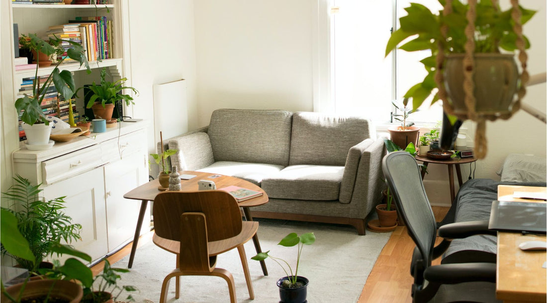 Ways to make your home more eco-friendly