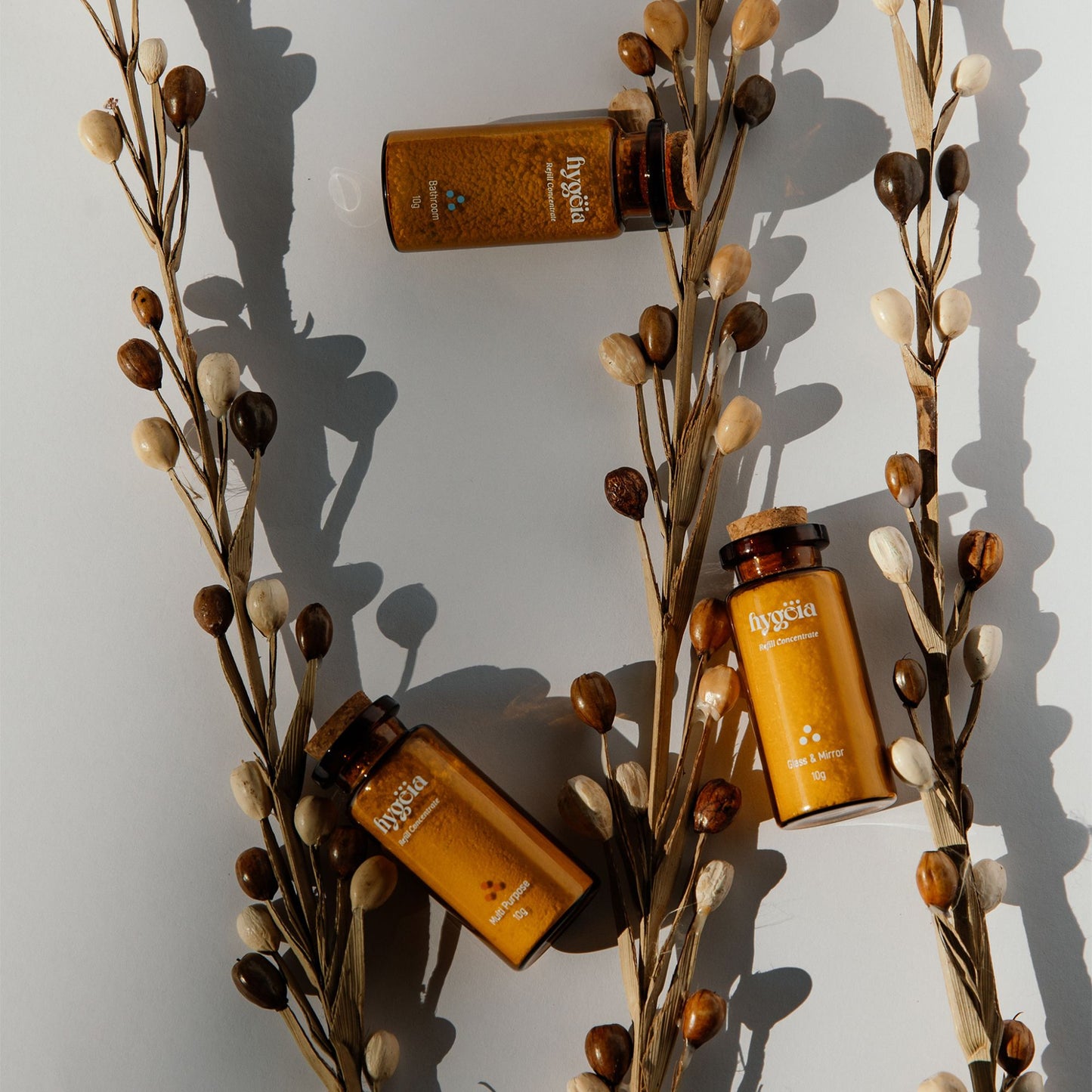 Mindful Home Cleaning | Full House Collection