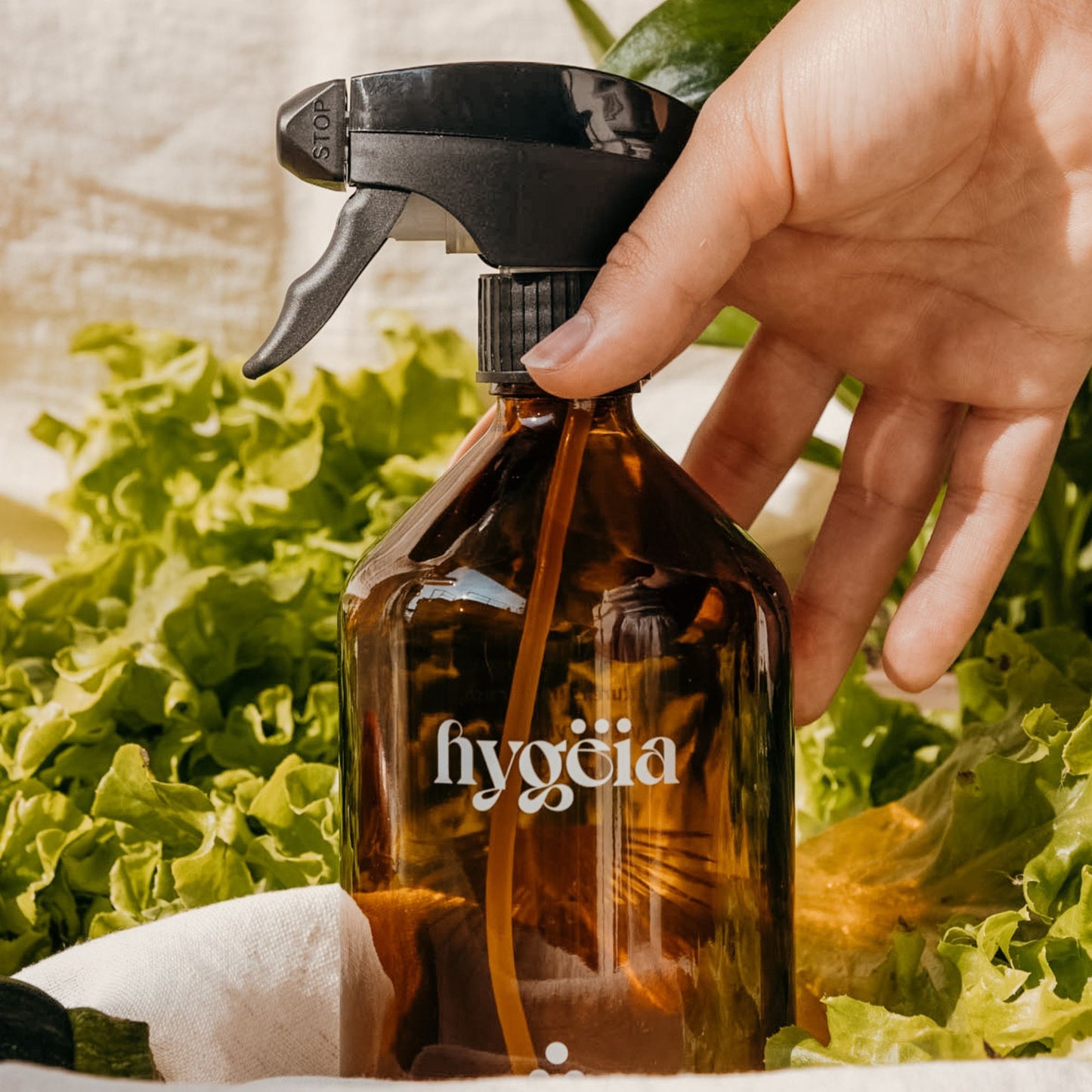 Mindful Home Cleaning | Full House Collection