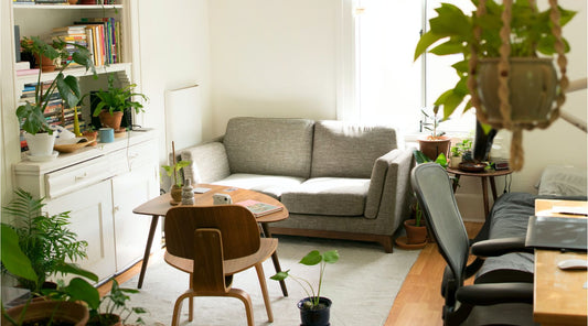 Ways to make your home more eco-friendly